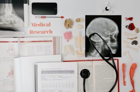what my bones know pdf